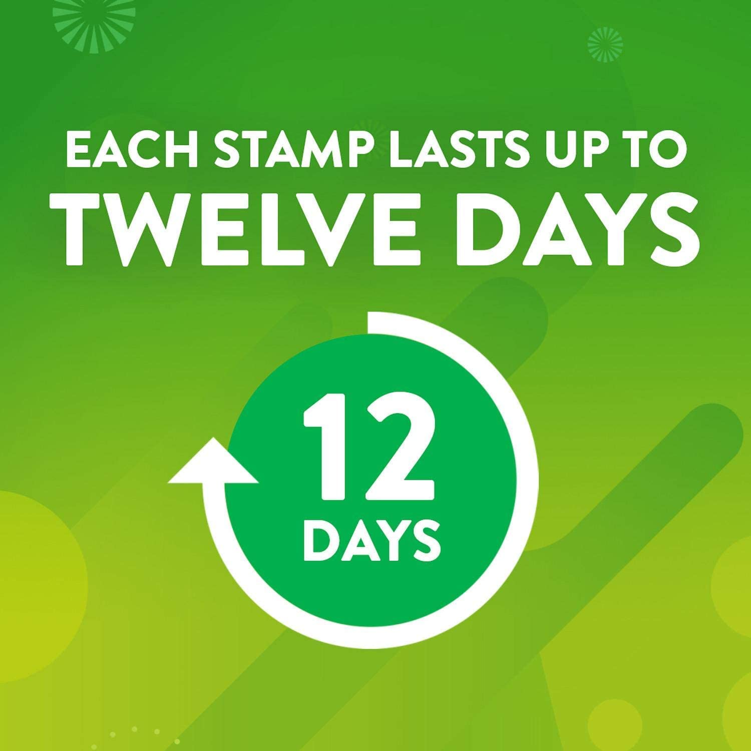 Scrubbing Bubbles Toilet Gel, Fresh Citrus